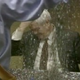Illustration for article titled VIDEO: Newt Gingrich and Wife Hit With Glitter